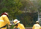 Training- (17)